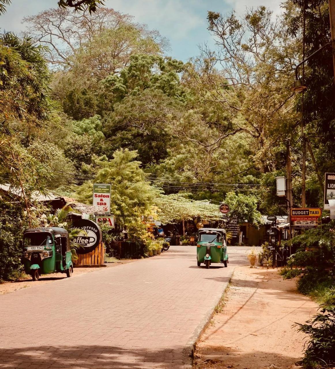 Sigiri Rainbow Lodge Sigiriya Exterior photo