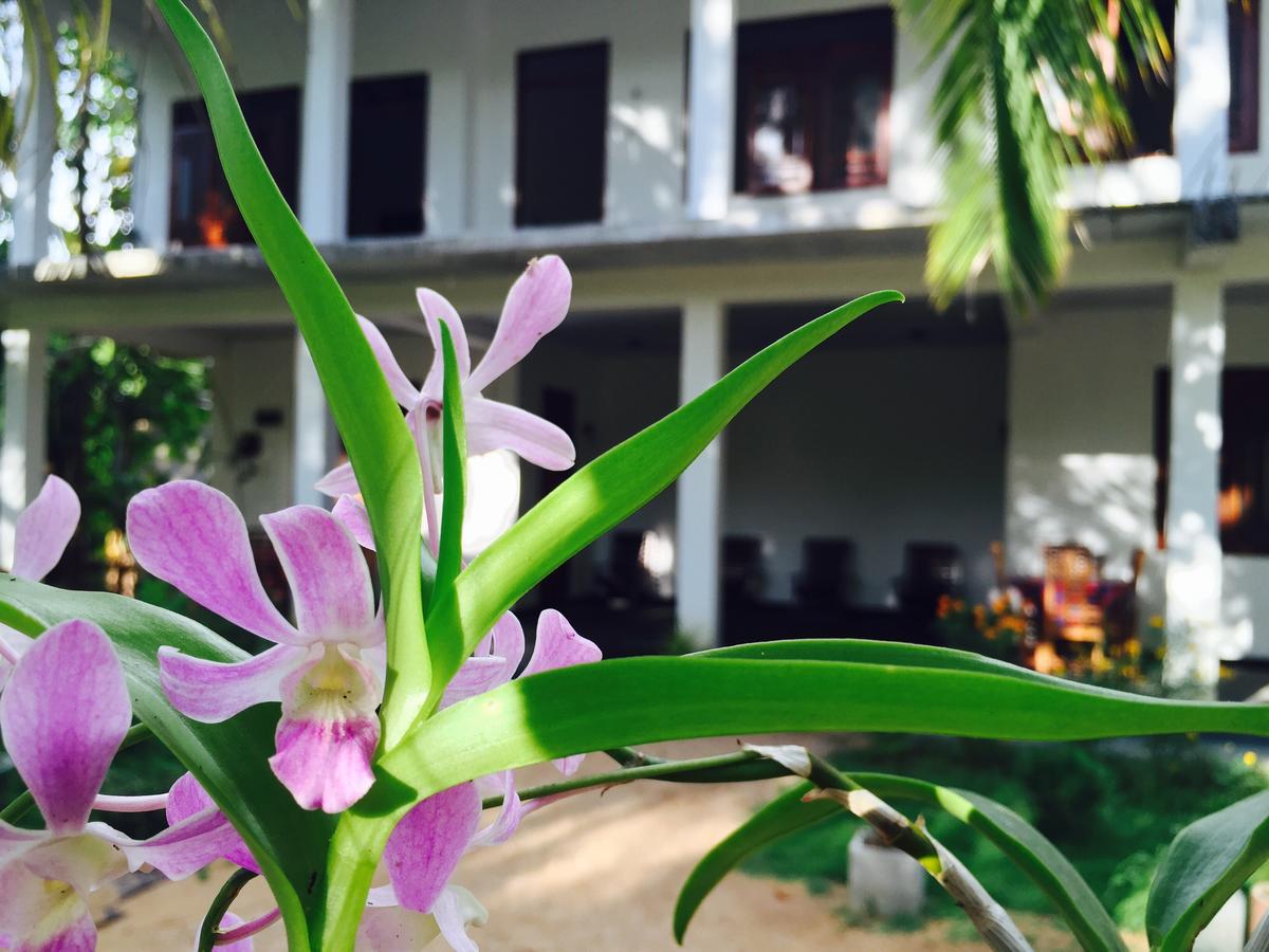 Sigiri Rainbow Lodge Sigiriya Exterior photo